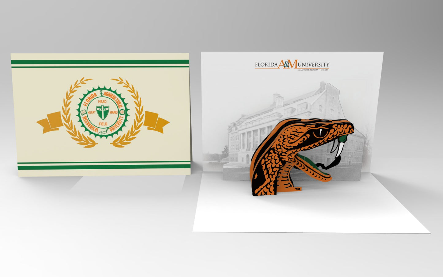 FAMU Specialty Cards