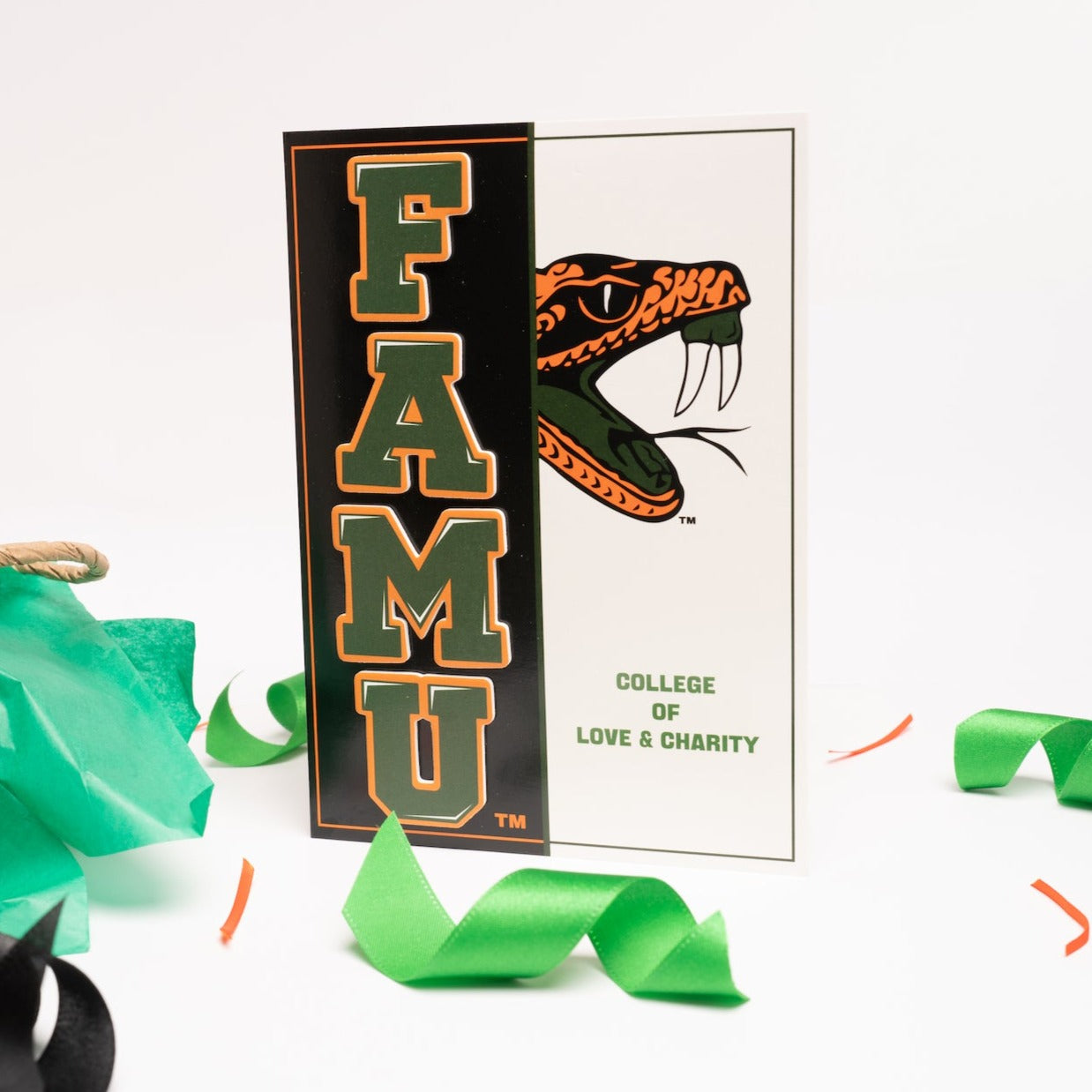 FAMU Greeting Card Florida A&M University commencement graduation FAMU marching 100 black greeting card