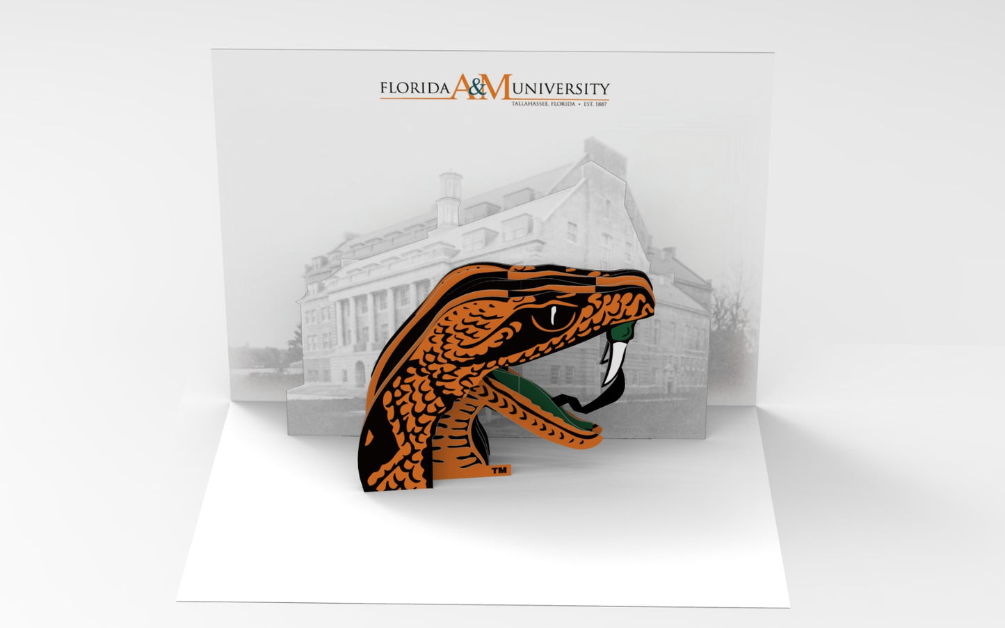 FAMU Specialty Cards